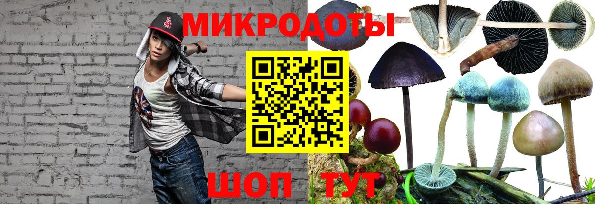 где найти наркотики  Галлюциногенные грибы MAGIC MUSHROOMS  Галлюциногенные грибы Cubensis  Вход с VPN  Канск 